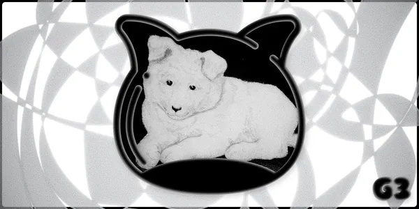 🐛 Grub in a World of Nonsense #3