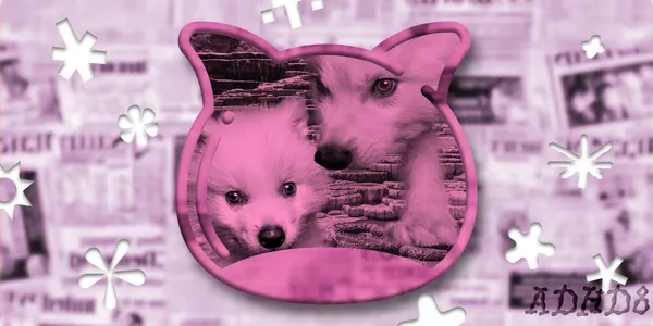 🔭 The animal essay