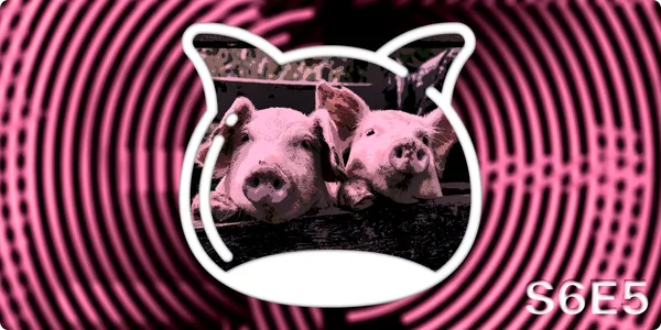 📺 The Media Guide S6E5