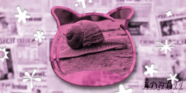 🔭 The snail essay