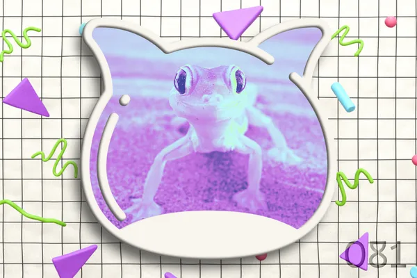 🎉 Weekend edition vol.081