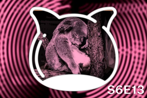 📺 The media guide S6E13